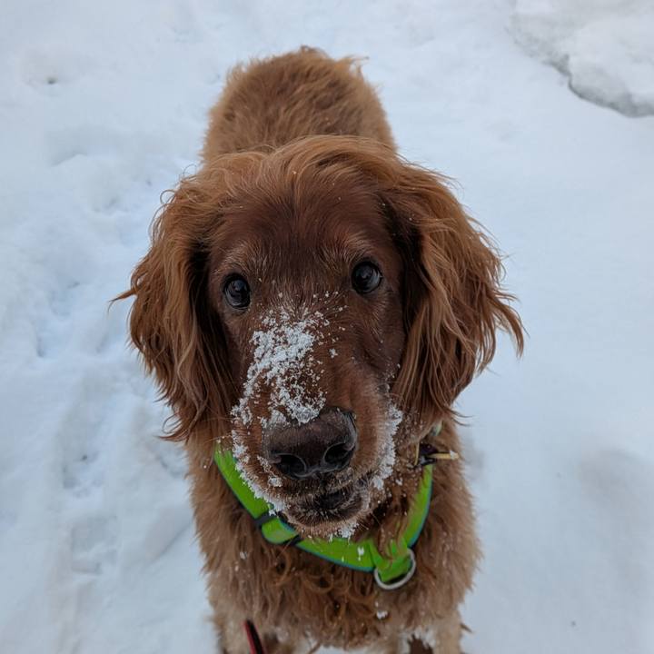 A0ff957f ae4d 4490 b999 9e0b2907b91f 1769381919741