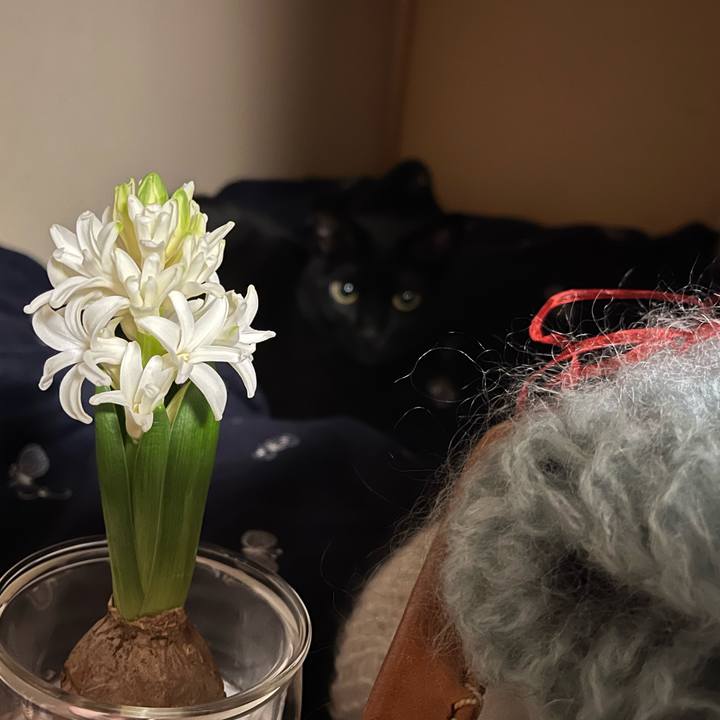 A0ffa5aa 9ab9 44f6 a18d 7a4f21af735b 1708174964310