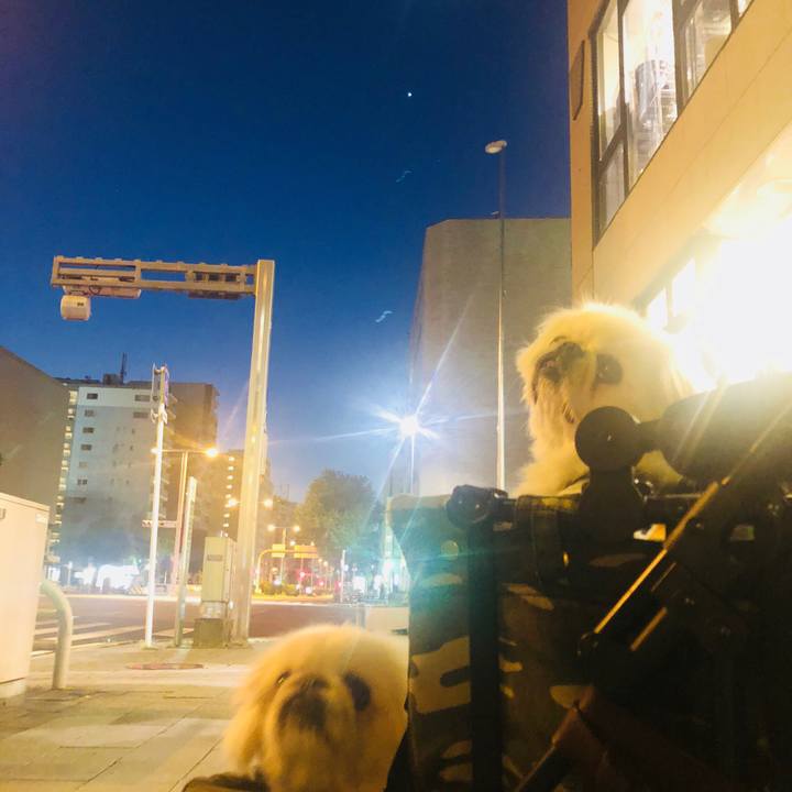 A0ffd1fa 364f 468b a440 1b98bad31164 1597459785995