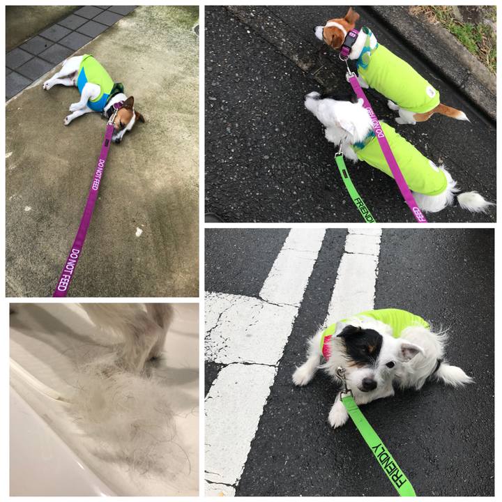 A0ffe009 df93 417f 92b3 0cb6ad2905dd 1510107251306