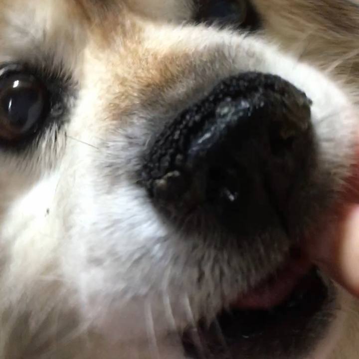 A0fff1d9 5cfa 4af4 b083 f3da3ad67f36 1610970488646