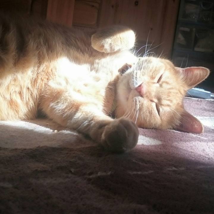 A0fff6a1 4358 42d1 8a28 454cefb099fe 1514257153191