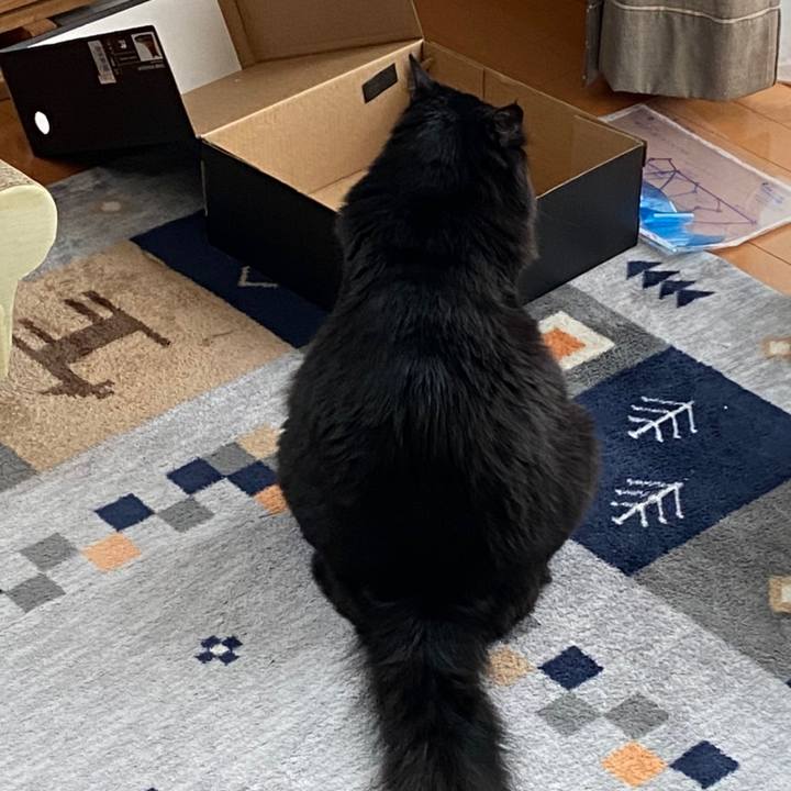 A1001299 cf77 4087 aad2 08f628b6e035 1611814361751