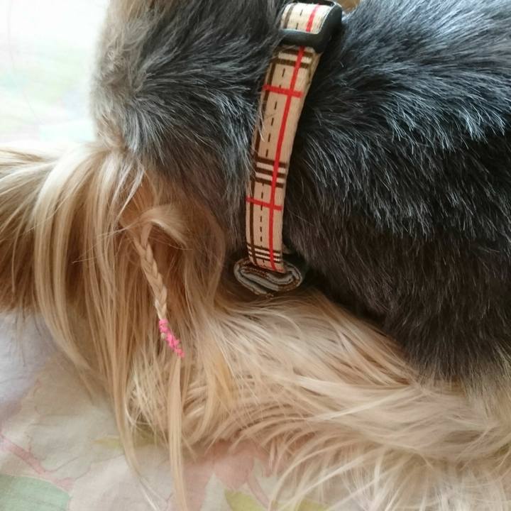 A1003a3c 9916 42d3 bf9b d9107e2d8ae8 1534117431332