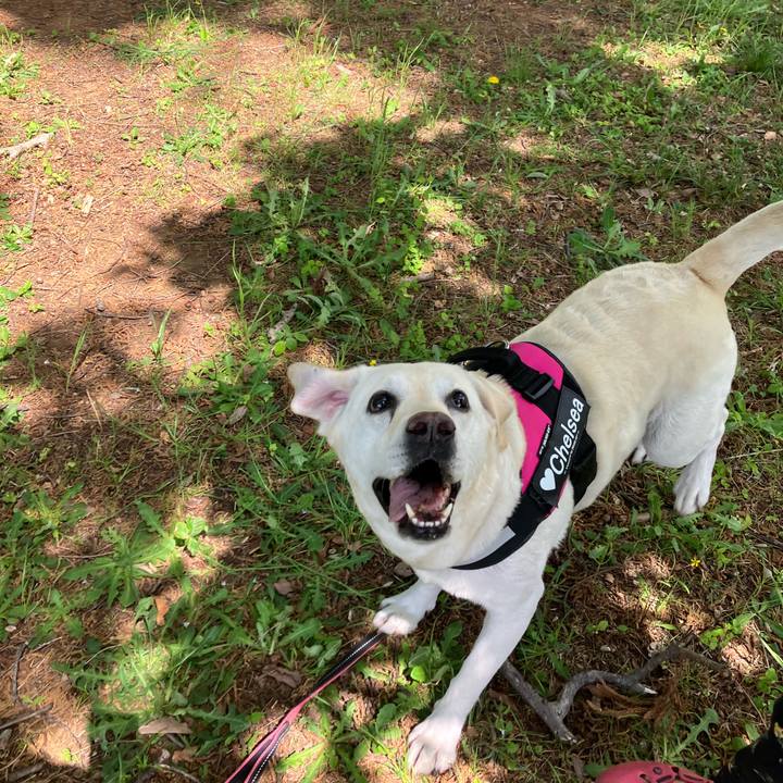 A10045b5 8f6c 40a6 a3d2 ac71173df64d 1683348848047