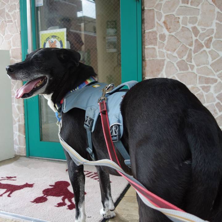 A100484f 468d 415b bb4b a941528610dc 1725850955507