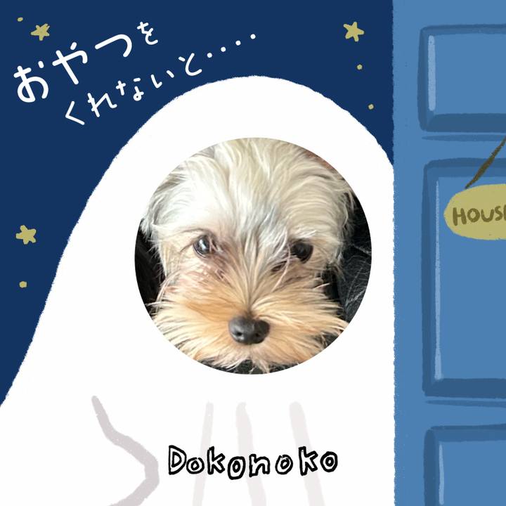 A1004c7f 3d9d 426d 8cb3 8cf100afdb0f 1729255791765