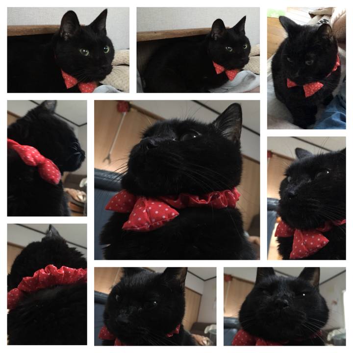 A100546c 1fba 419a 8dda d801a3217f04 1551562842450