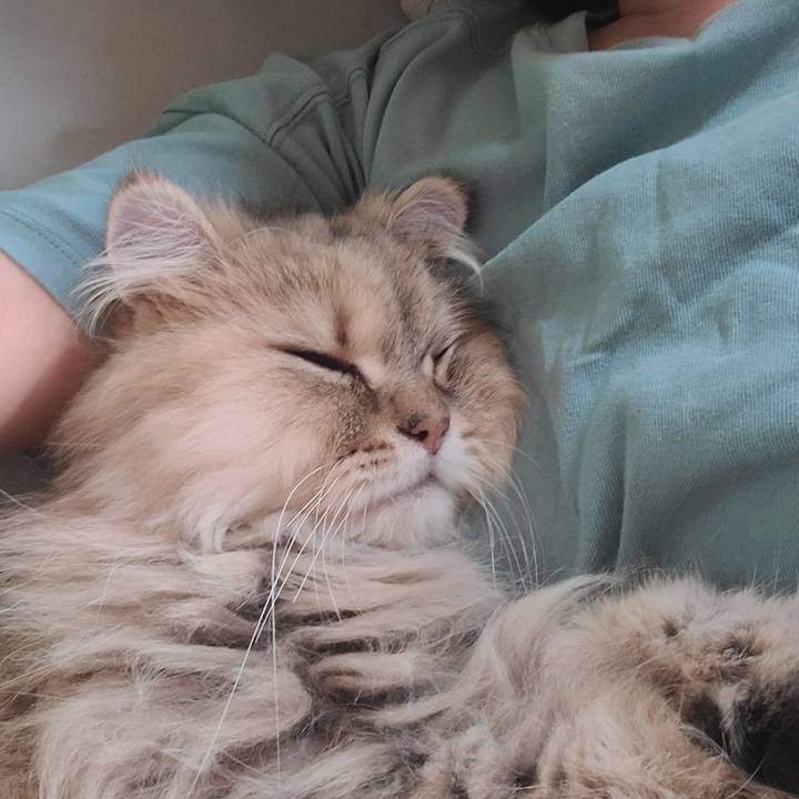 A1009e6e 16b6 41df 9510 509295c25f60 1684733721636