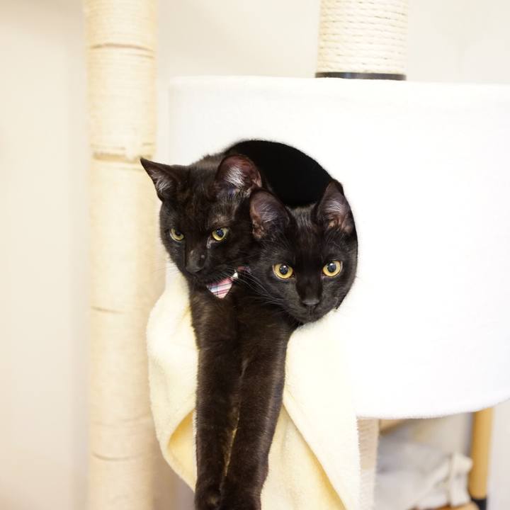 A100b443 4659 4d8f 9b9d 53681b6b8e99 1513001559257