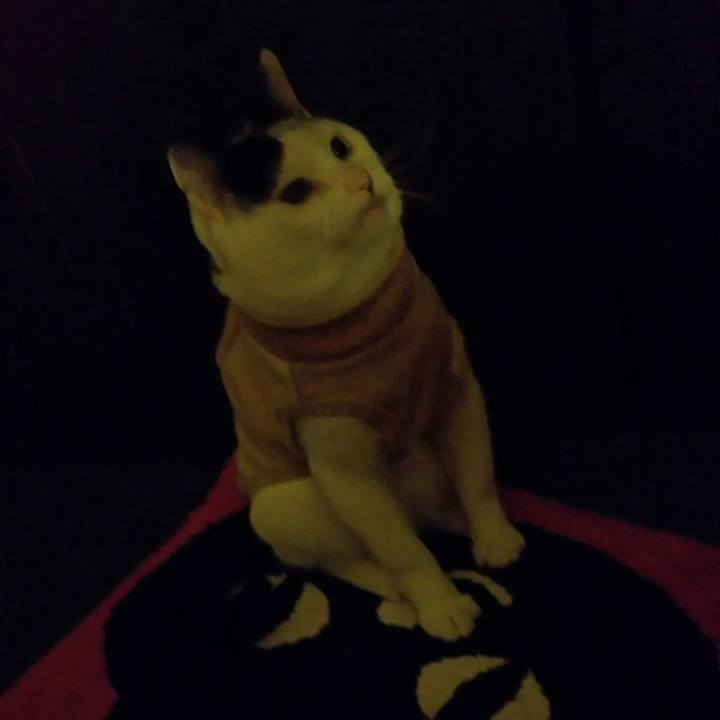 A1013678 fa8d 4771 ba05 cfe78a4841de 1534422240518