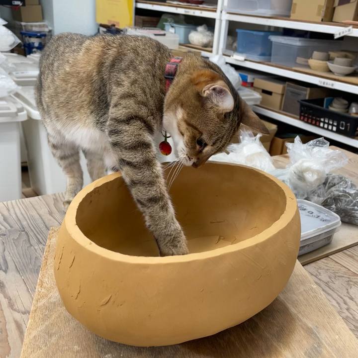 A1014234 d120 4c8d 8a68 2099f495cd61 1726309695325