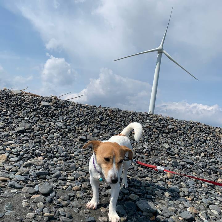 A1018da9 d867 46f8 9027 0ca8c3e618fc 1586586836072