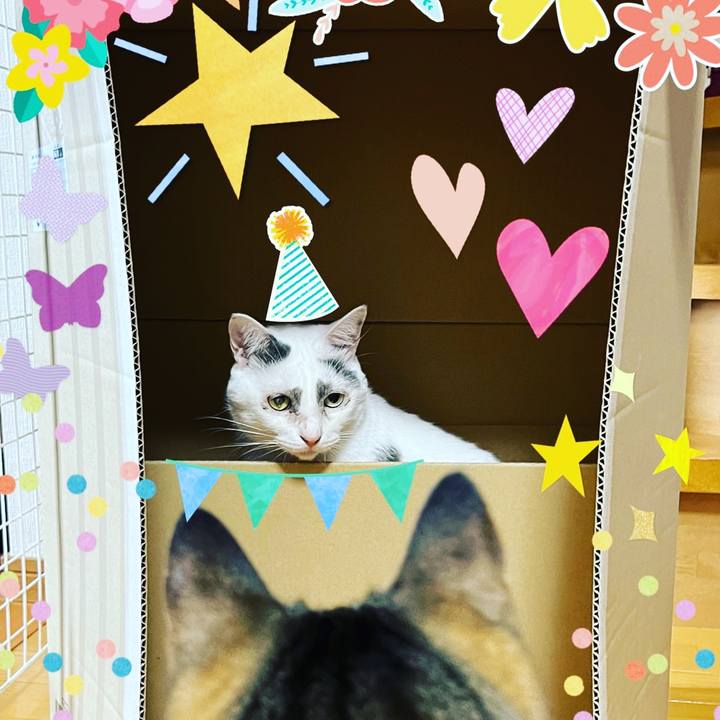 A101c4e6 45d1 4eff 97fd 56d473fe1bb4 1655109663420