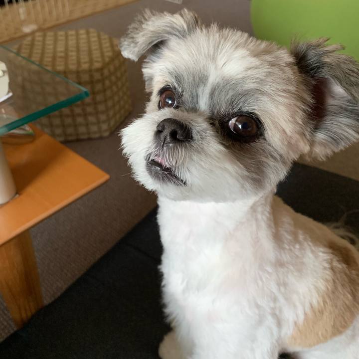 A1023203 b94d 4d5a b4aa 36eea4e91fdf 1570513362454