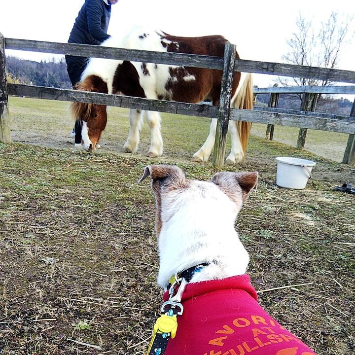 A1028467 acc0 4f85 9b20 1546c4d2acf1 1578904347551