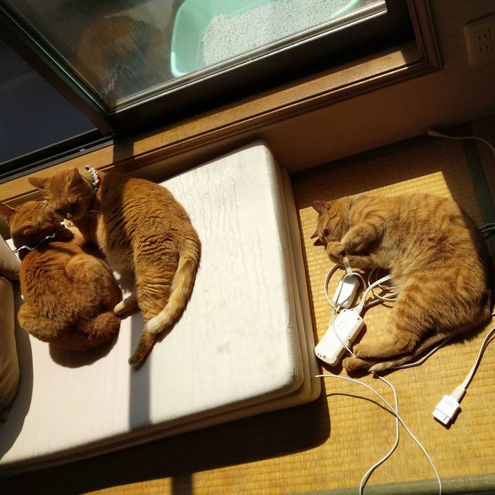 A102b2b7 1861 4a12 b284 e5acc48918f5 1618198417396