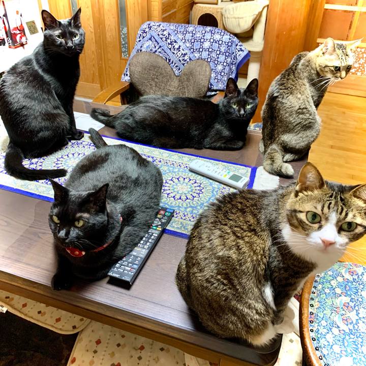 A102b675 ceae 4a20 9cc6 38217d55f084 1684230954061