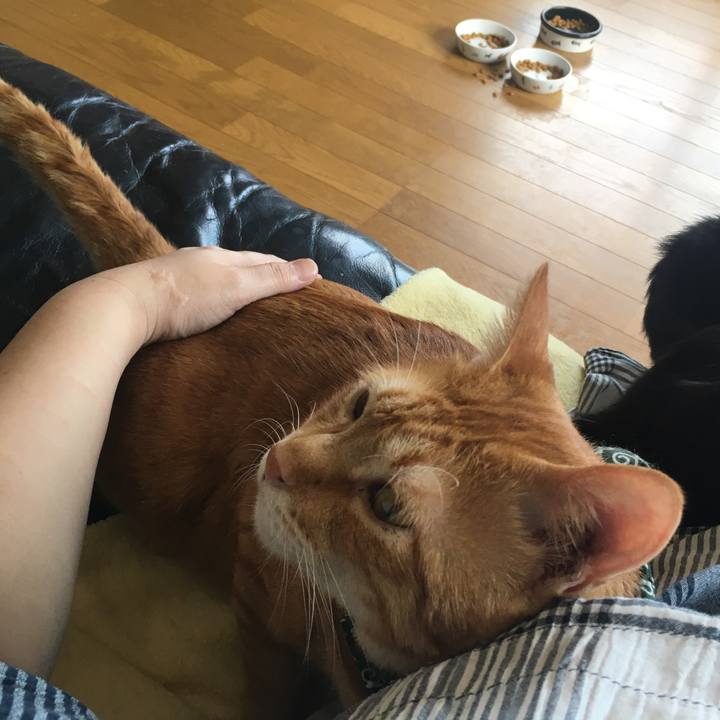 A1030404 b39b 41e0 9fe3 bdd79e037fdf 1536974918188