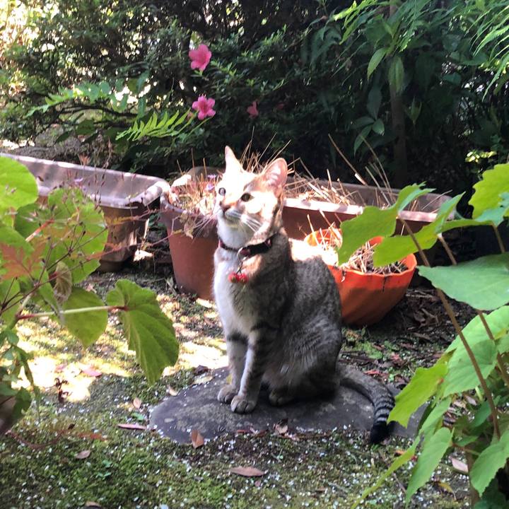 A1030d57 9711 4039 9728 4d0efe7ceee0 1653998914678