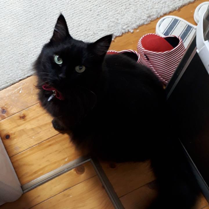 A10311a1 f4df 43b7 895a 74e8f73eb970 1517826024095