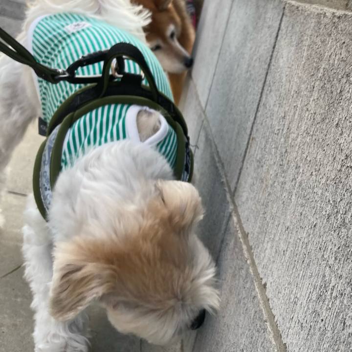 A1031eae 40ec 4e05 89b7 618fa186f02d 1663058140518