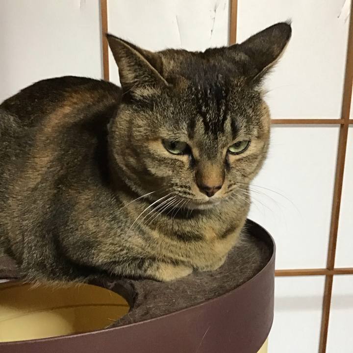 A1033c89 bcad 4dae 9805 bf9e8c94b9d1 1739267972272