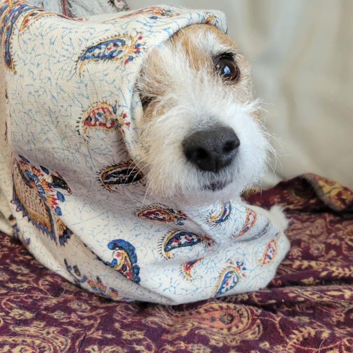 A10365f4 f9f4 4574 832f 207bd421be62 1737676949826