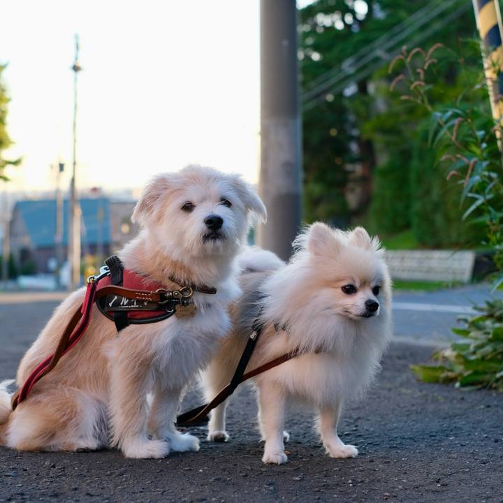 A10380bb 9eb0 4ca4 8330 f3b6b1dc7700 1757282973320