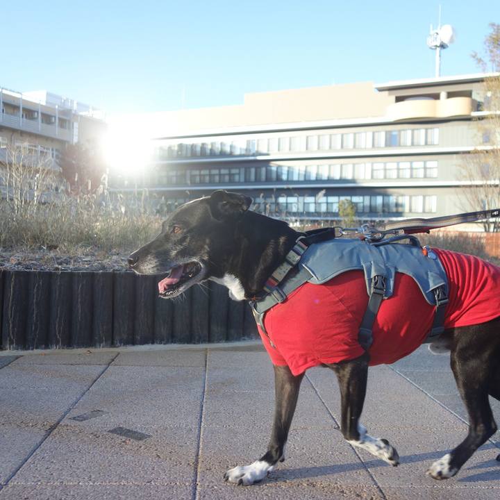 A1038d4f b9bd 4307 bb0d c28769d1752c 1734312031121