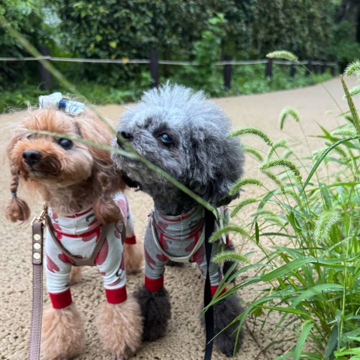 A1038f3e 621b 4888 a222 f9d7f090c267 1759619653998