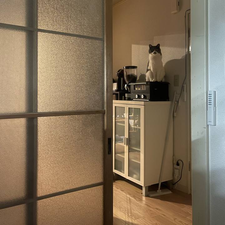 A10391e4 ca84 495a 871a 18fa91f5fe6f 1735574020404