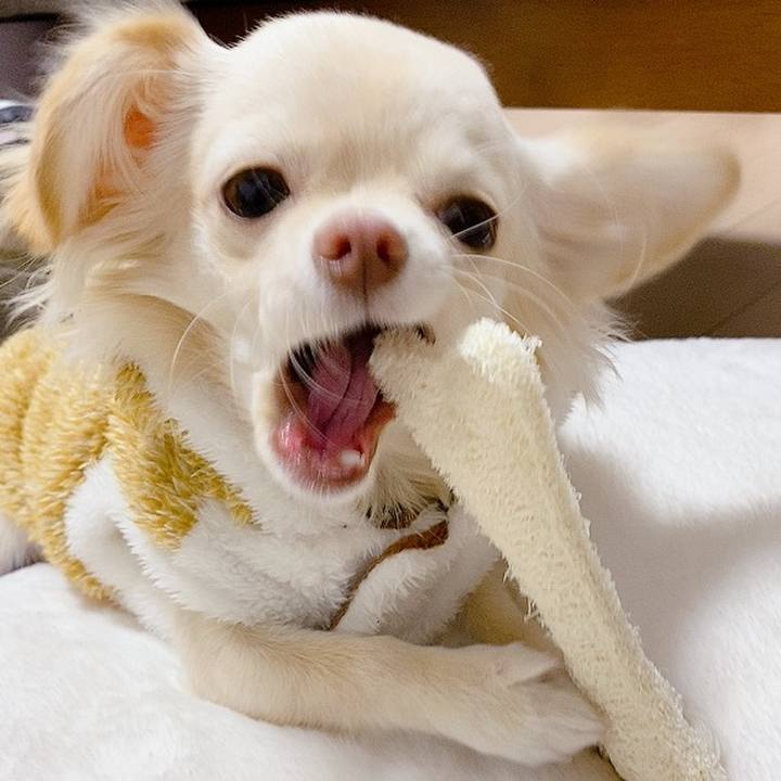 A103a235 bd6a 4eb5 bed1 65794b62620f 1606642176224