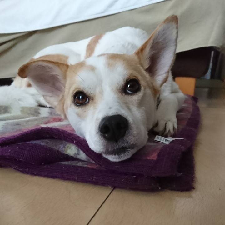 A103b695 3f37 4409 8738 b6810615f67d 1520302606171