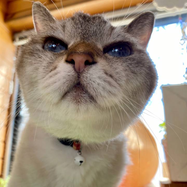 A103e696 90cd 42df a926 faf7691cfdbf 1603251681123