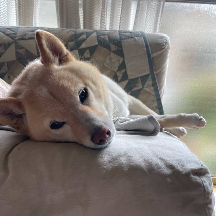 A103f945 71cd 441a 9193 2b8da3b62989 1743135789676