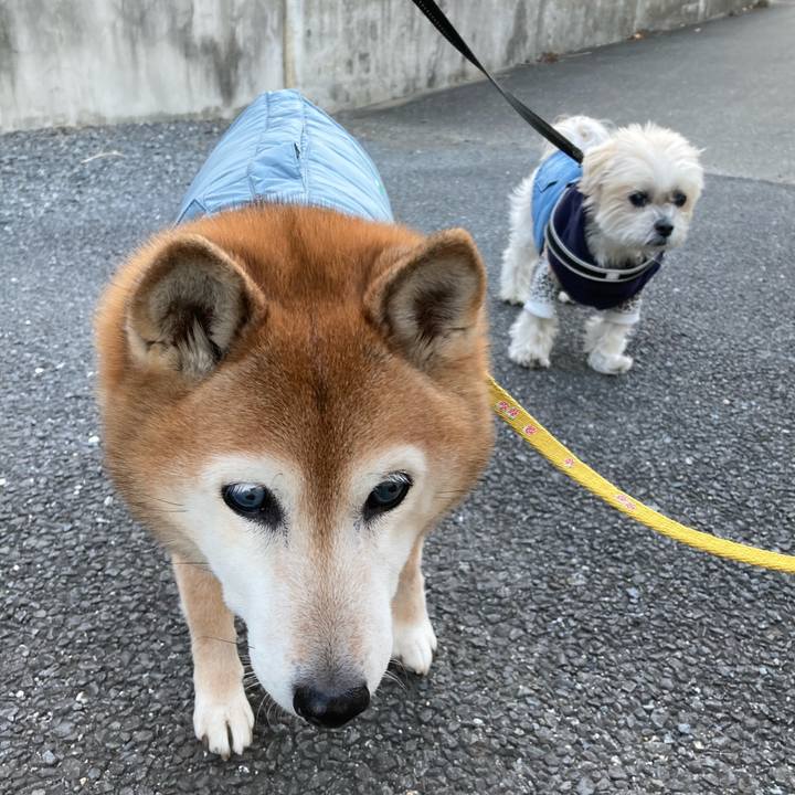 A10403a0 6559 4c67 b815 0efa9b913132 1766139249782