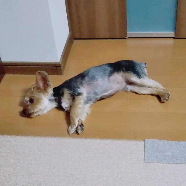 A1046d45 9746 4340 a5e4 329f22572b59 1656066619326