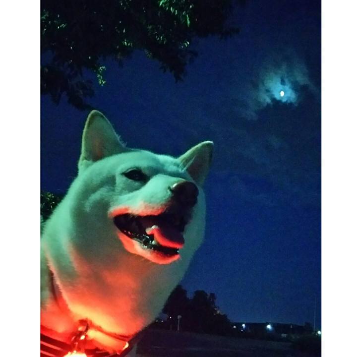 A104853b 07d8 4f4e 9e89 99adebdd1c39 1532345338112