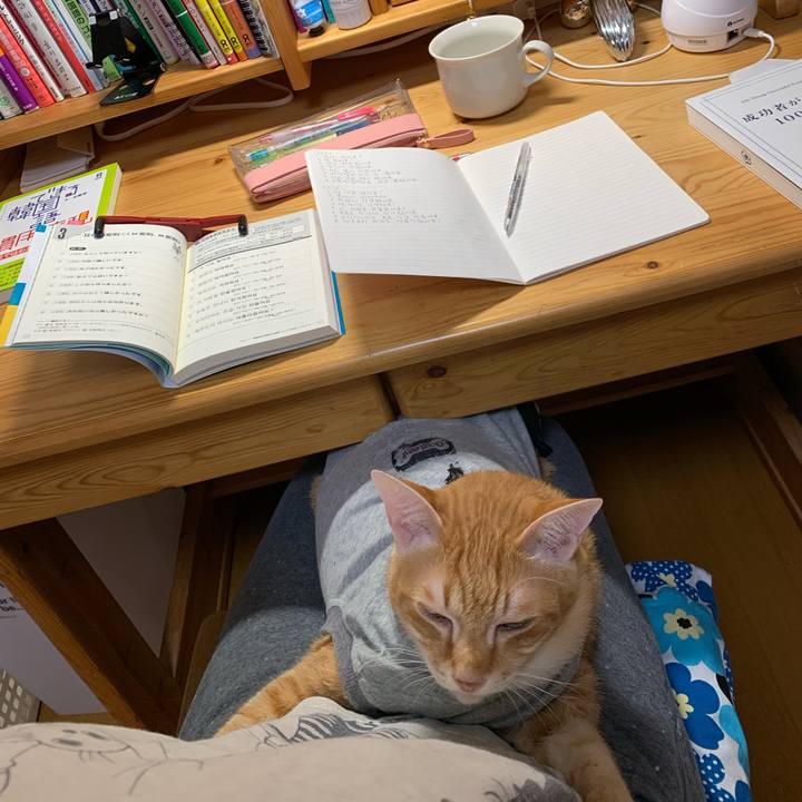 A1048b60 788b 48d9 b011 0caf789774ee 1637874096815