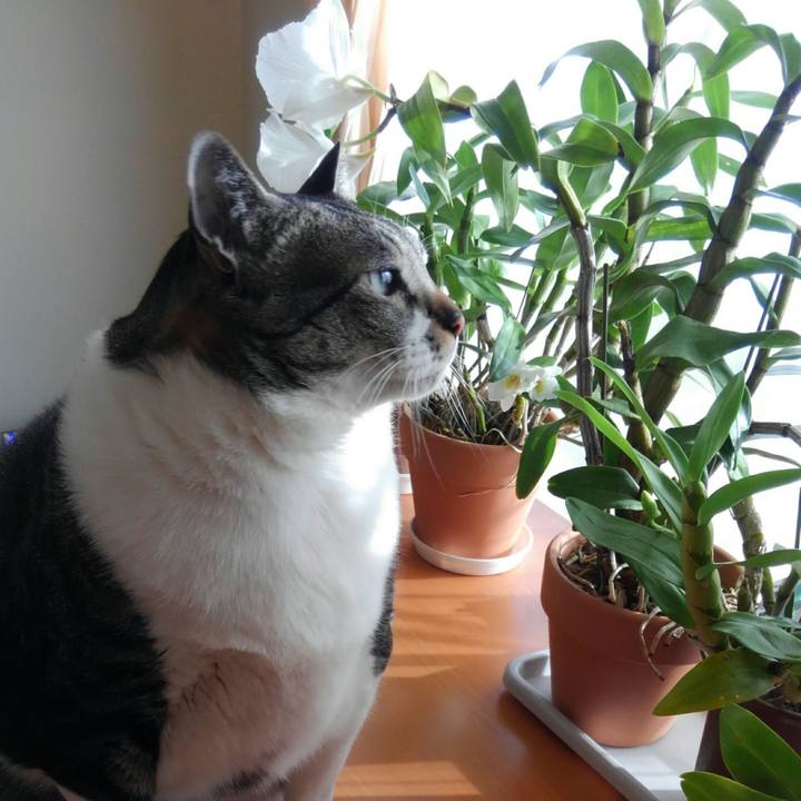 A104b42f 4599 4c23 b4ba 3febc1292ee1 1515622337295