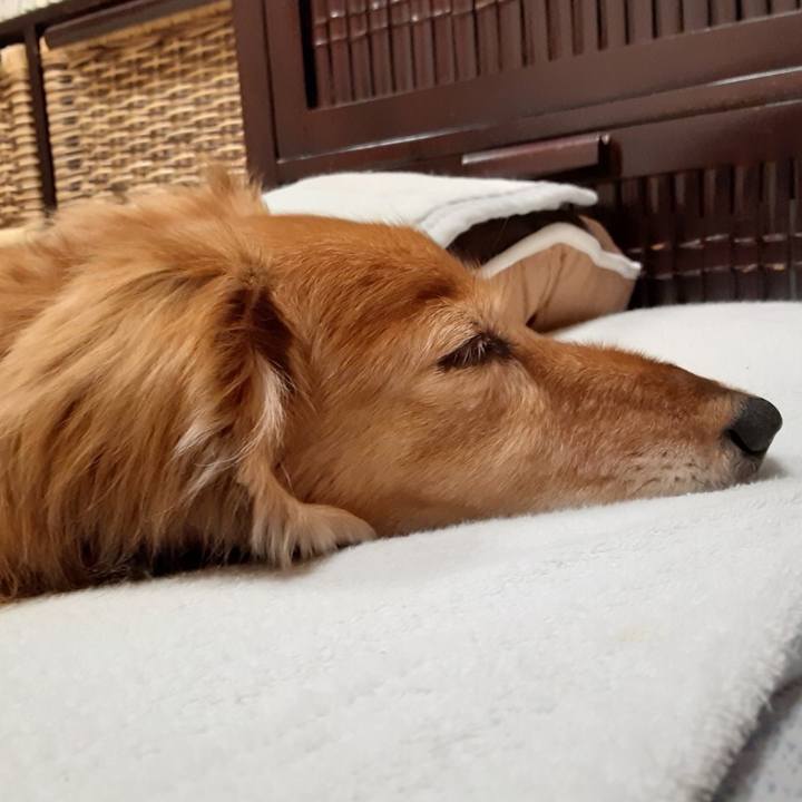 A104be37 0c56 435e 8c60 a65e7ccf4d50 1619790668922