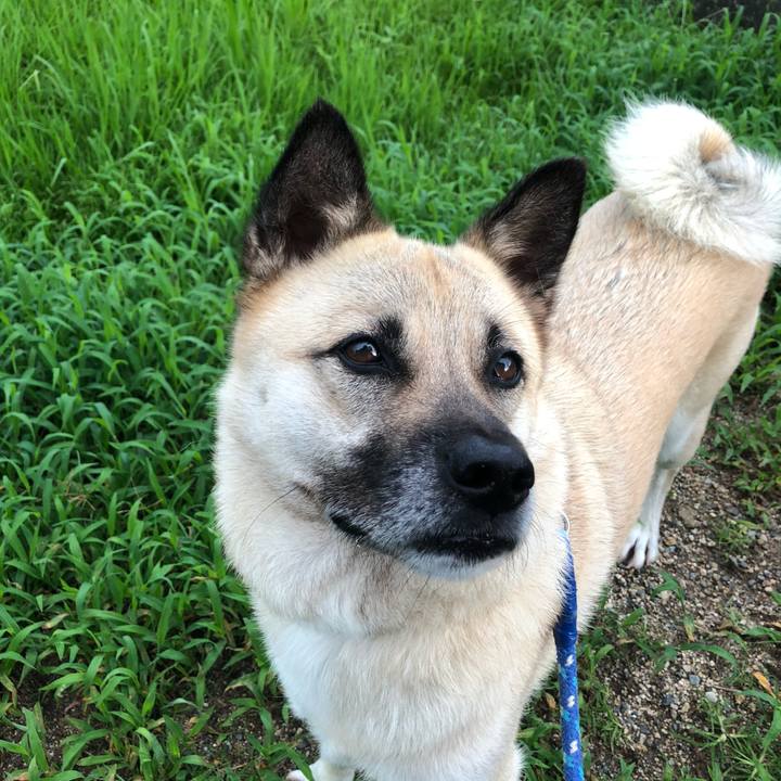 A104cb10 f456 4877 bae9 7426a1cccd07 1594728756327