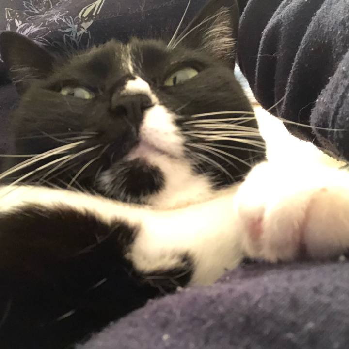 A104e11b 0215 40cc bc49 b8cf2c1dd28d 1576970792130