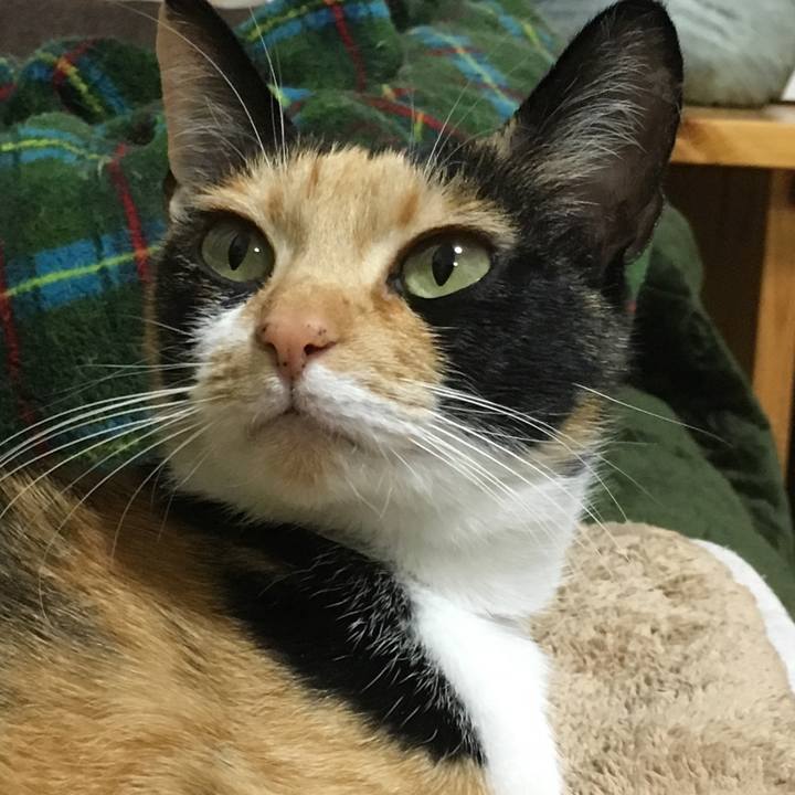 A104e7e9 f7f0 47ba 8e10 7adbefd6e546 1519475792950