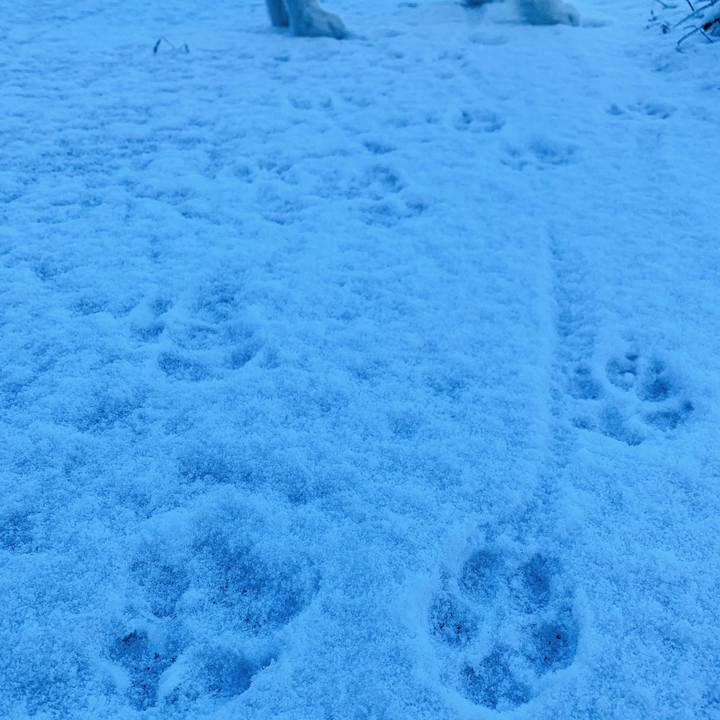 A104eff8 851c 4001 abd6 e83047871146 1641520057815