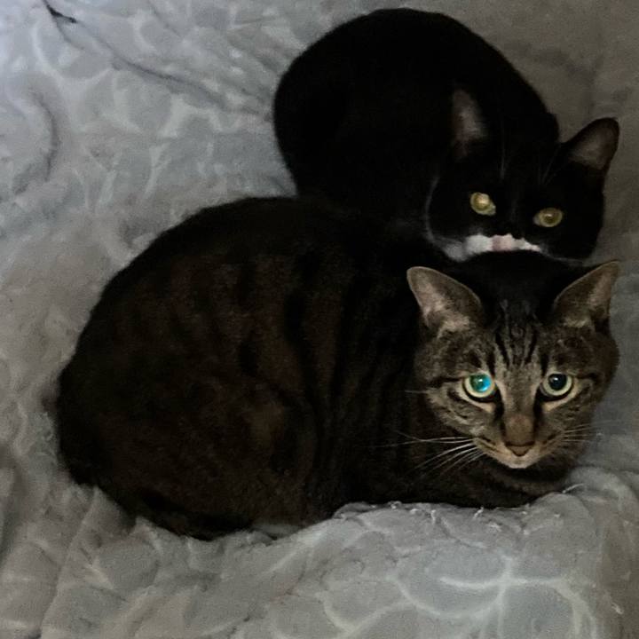 A104f0c8 2755 4bd5 a05b d0c5b4b3aa18 1667198248367