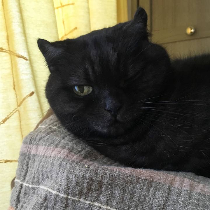 A1054313 324a 4126 b469 0fc163dcf029 1542343888926