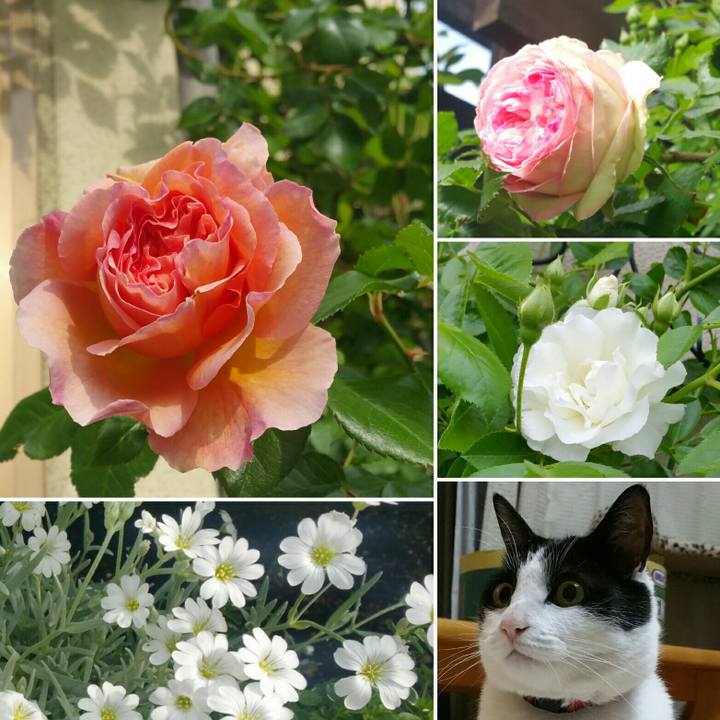 A1054d7a c868 4f98 9130 6428a18468e9 1558297972618