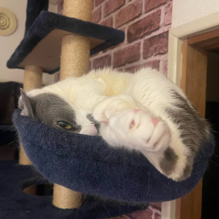 A10565cf 2dda 428f b19b 9e37bf88fce7 1711018815444